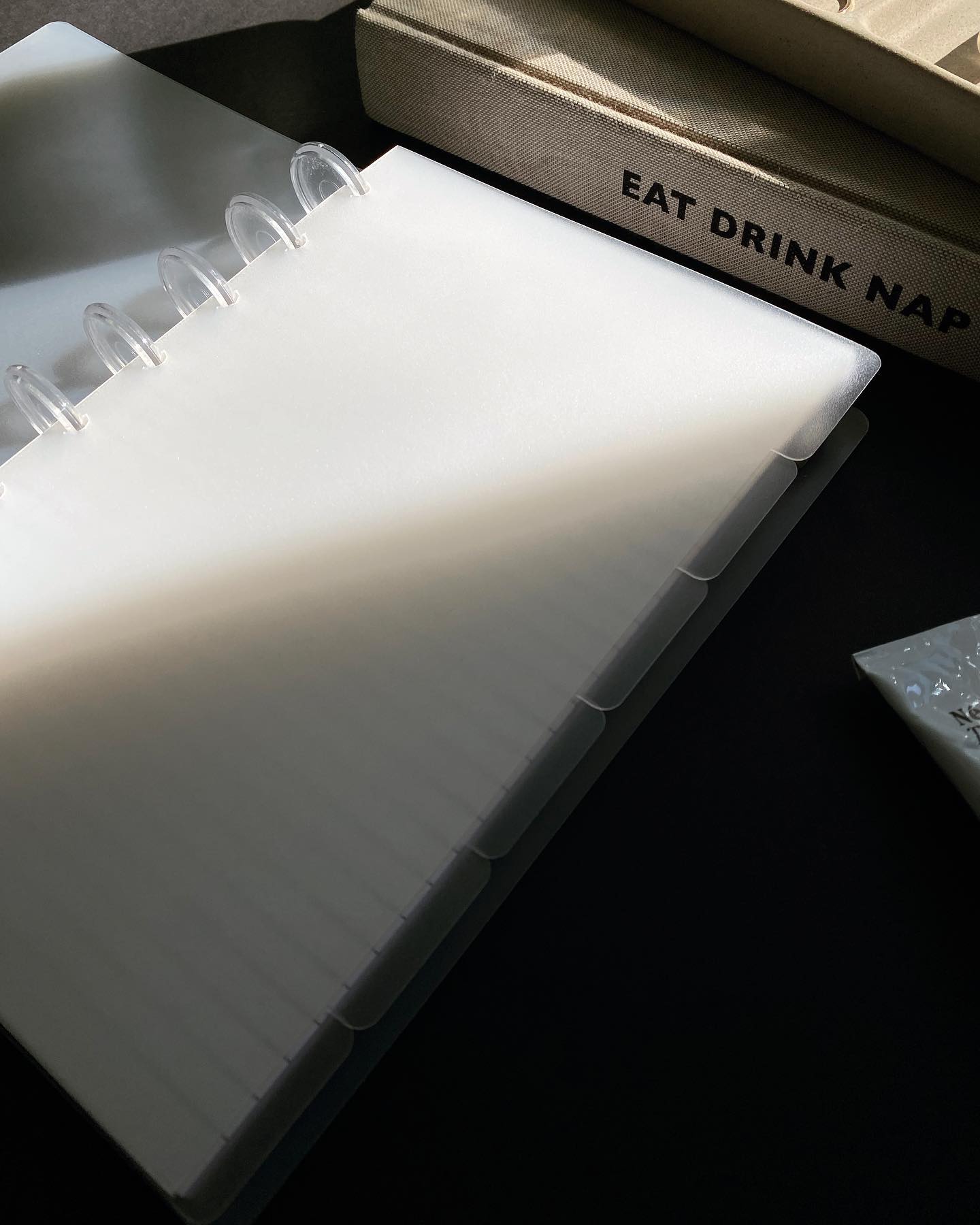 Frosted Dividers | Side Tabs image 1